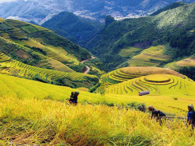 Tour Du Lịch: Hạ Long | Ninh Bình | Hà Nội | Sapa